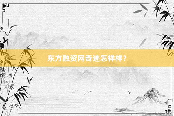 东方融资网奇迹怎样样？